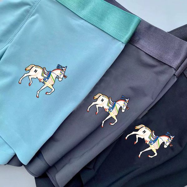 Underpants Top 3 Pieces