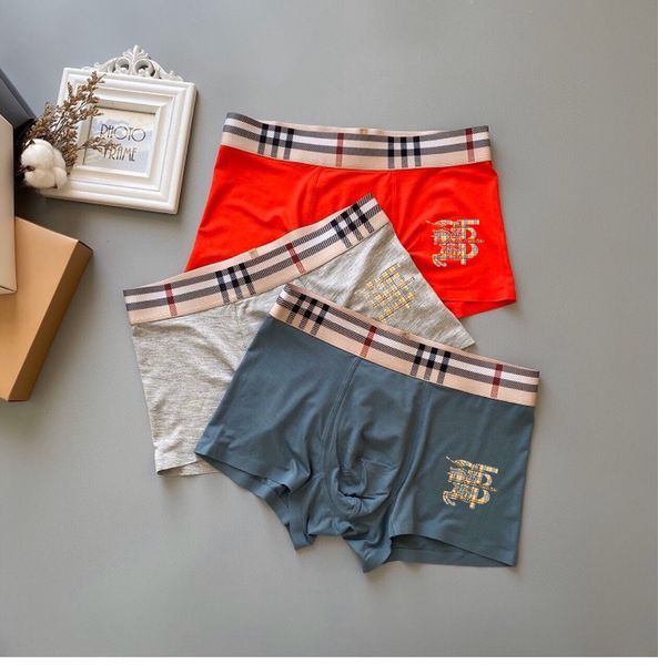 Underpants Top 3 Pieces