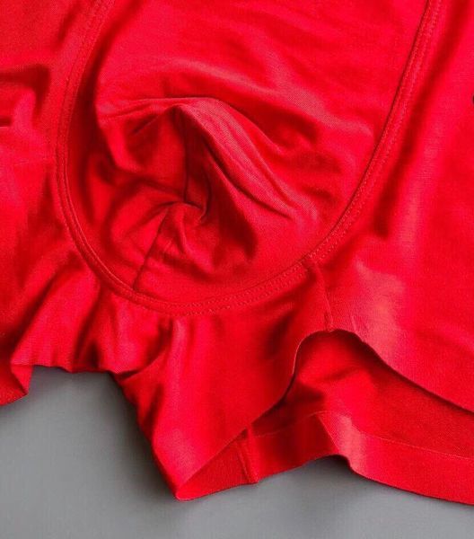 Underpants Top 3 Pieces