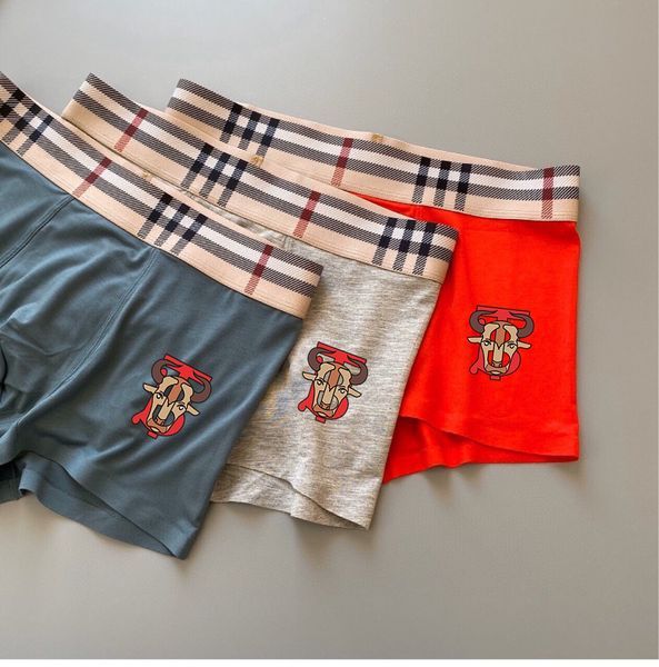 Underpants Top 3 Pieces