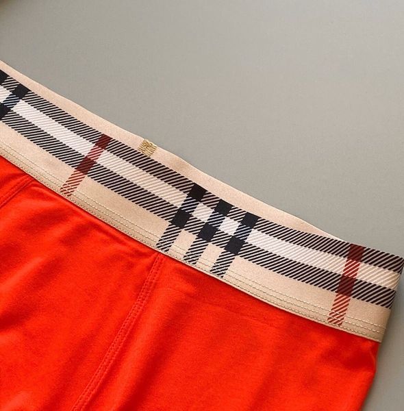 Underpants Top 3 Pieces