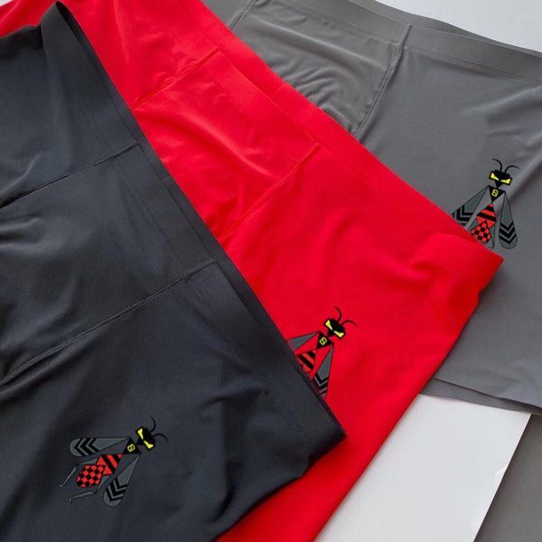 Underpants Top 3 Pieces