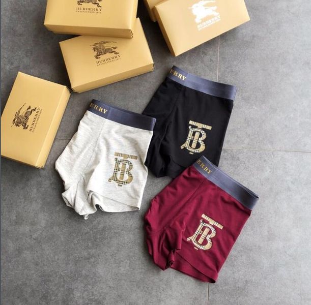 Underpants Top 3 Pieces