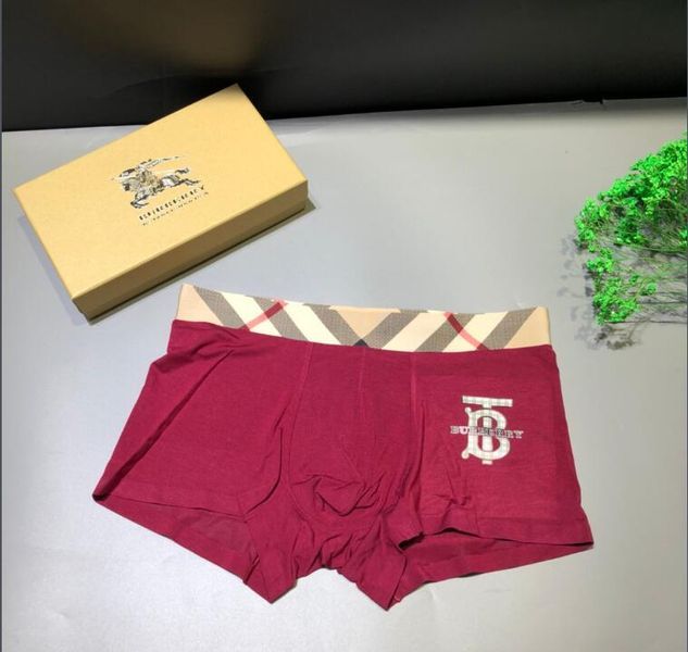 Underpants Top 3 Pieces