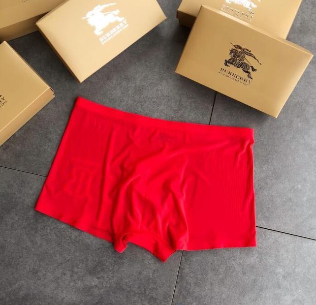 Underpants Top 3 Pieces