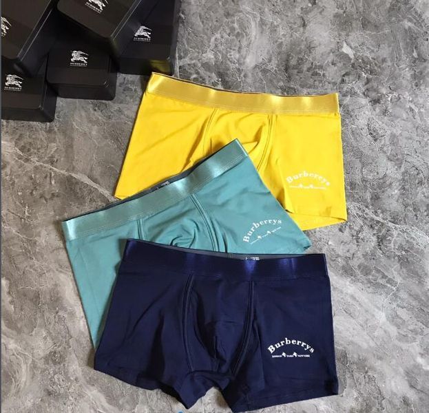 Underpants Top 3 Pieces