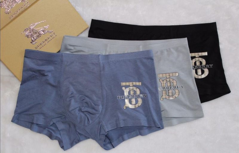 Underpants Top 3 Pieces