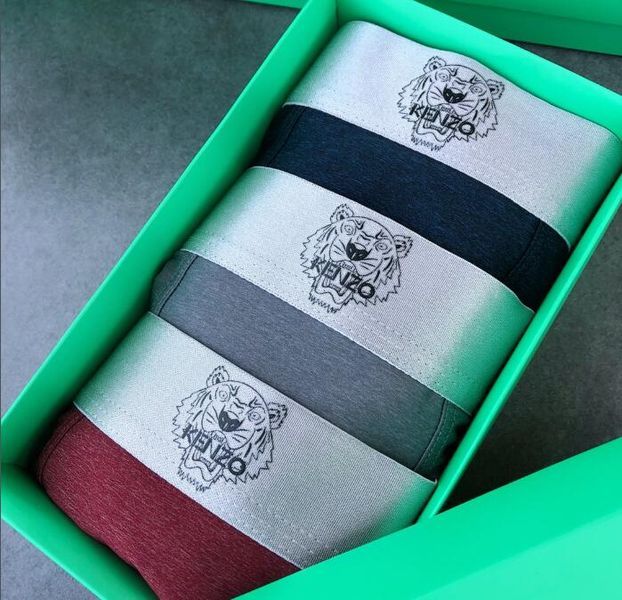 Underpants Top 3 Pieces